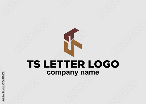 logo ts letter company name