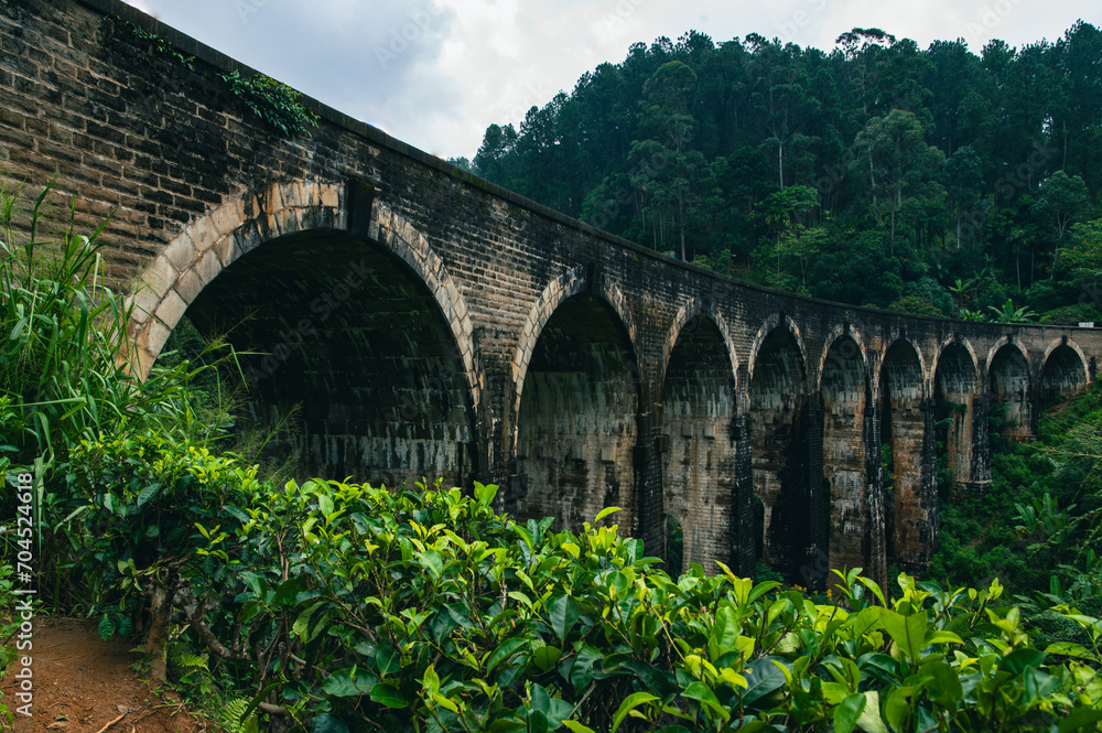 Fototapeta premium Nine Arch Bridge with Tea Fields in Ella