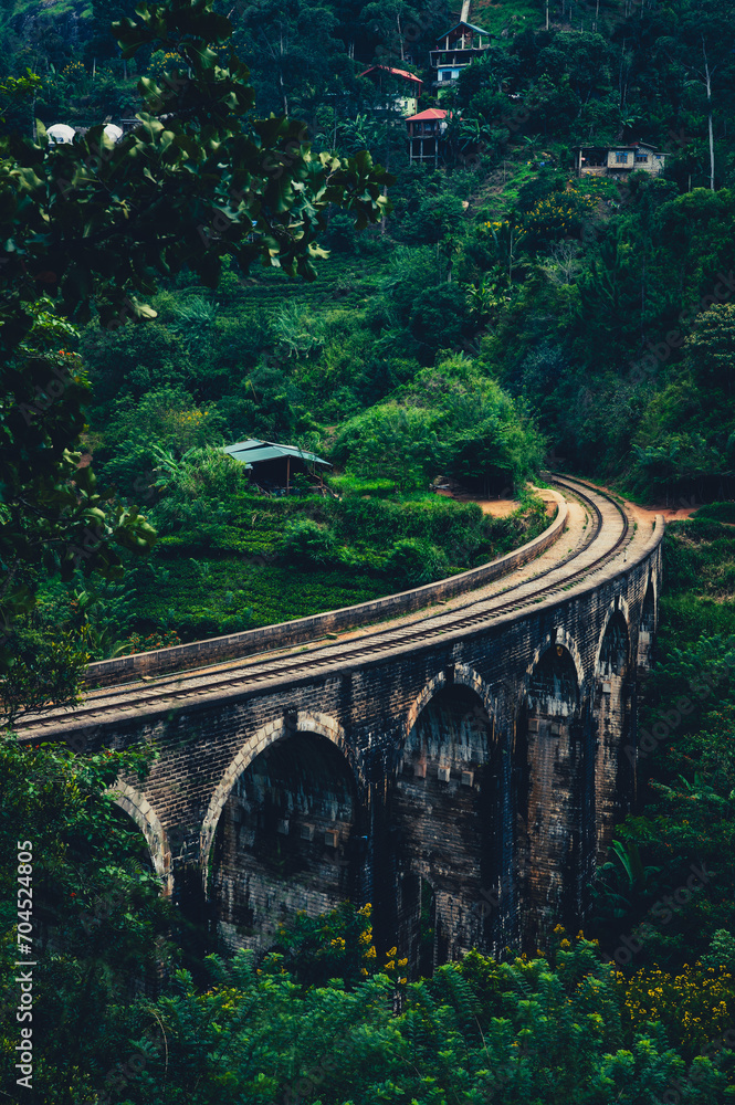 Fototapeta premium Nine Arch Bridge with Tea Fields in Ella