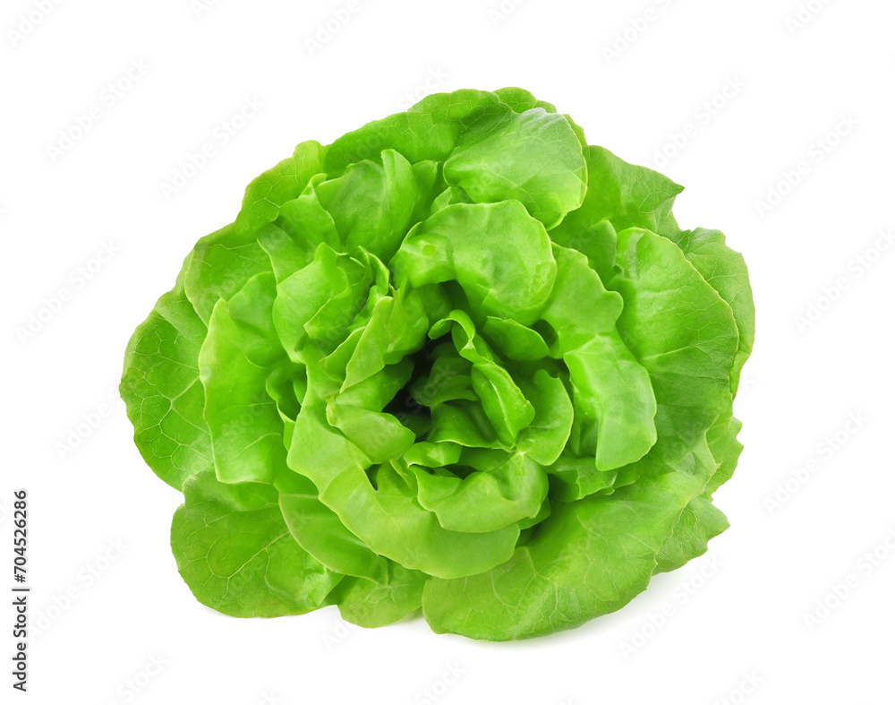 Green butterhead lettuce isolated on transparent background. PNG Green butterhead lettuce isolated on transparent background. PNG