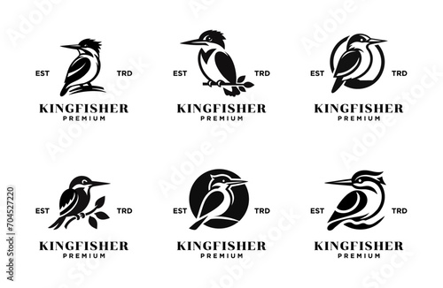 Kingfisher bird logo icon design illustration © JimzStd