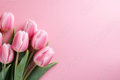 pink tulips on a pink background, top view with space for text, banner or screensaver