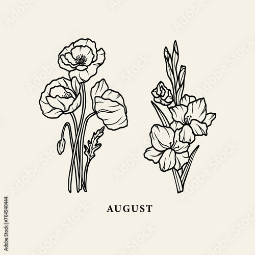 Line art poppy and gladiolus flowers photo