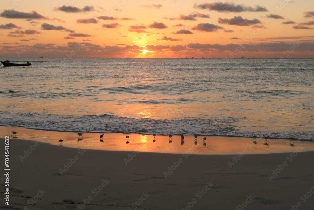 Group of sand pipers waiting for sunrise at the beach in Playa del Carmen, Mexico