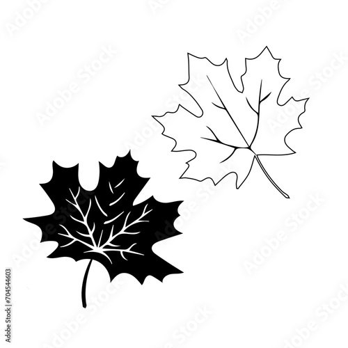 Autumn leaf. Autumn maple leaf isolated on a white background. Vector illustration