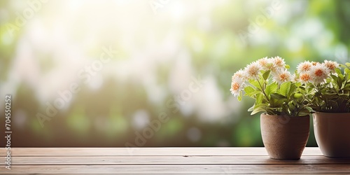 Flower pot background through defocused summer window on wooden table.