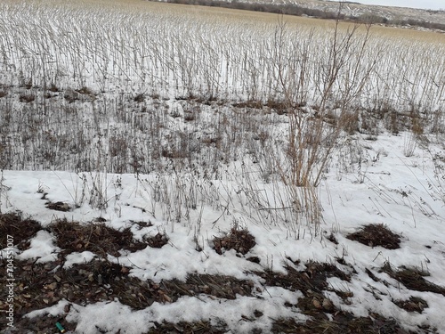 landscape with snow
