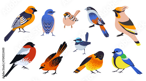 Cute birds. Flying animals. Little goldfinch. Small sparrow. Forest nature fauna. Titmouse or waxwing. Multicolored cartoon birdie. Blue tit. Songbirds flight. Ornithology vector set
