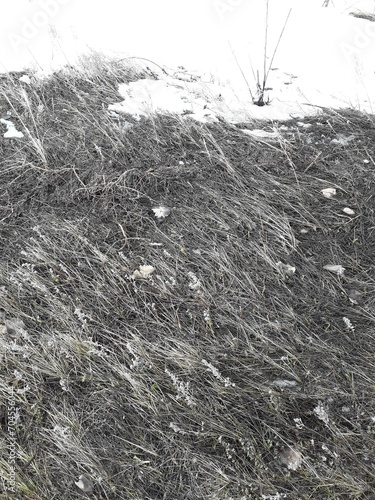snow on the ground