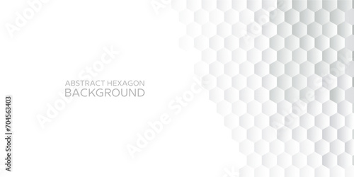 gray white hexagon background vector