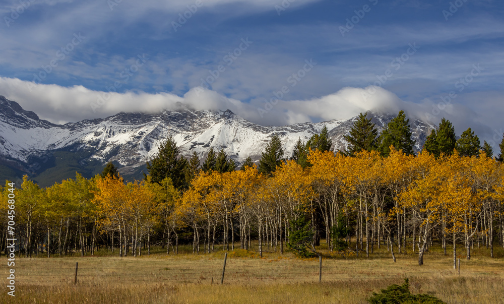 Crowsnest Ridge, Municipality of Crowsnest, Alberta, Canada