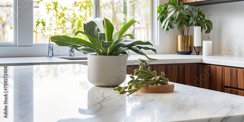Custom designed kitchen with marble-like quartz countertop, adorned with a marble cheese board and indoor planter. © Lasvu