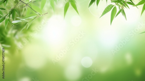 frame of fresh green bamboo leaves isolated on blurred abstract sunny background, product placement, copy space, 16:9