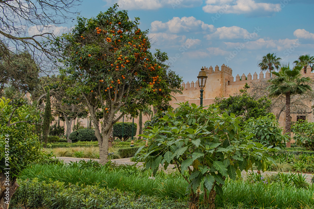 Fototapeta premium Andalusian gardens in Udayas kasbah. Rabat, Morocco.