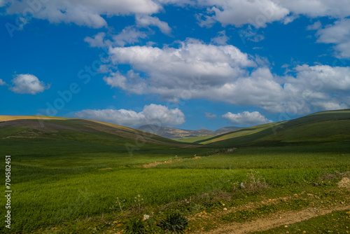 Fertile green land of Morocco, Africa. Green agriculture fields environment with sheep pasture. © Michael