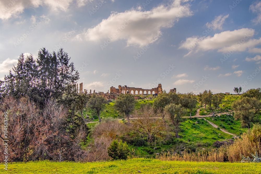 Volubilis, Morocco - touristic attraction and a Roman archaeological site situated near Meknes.