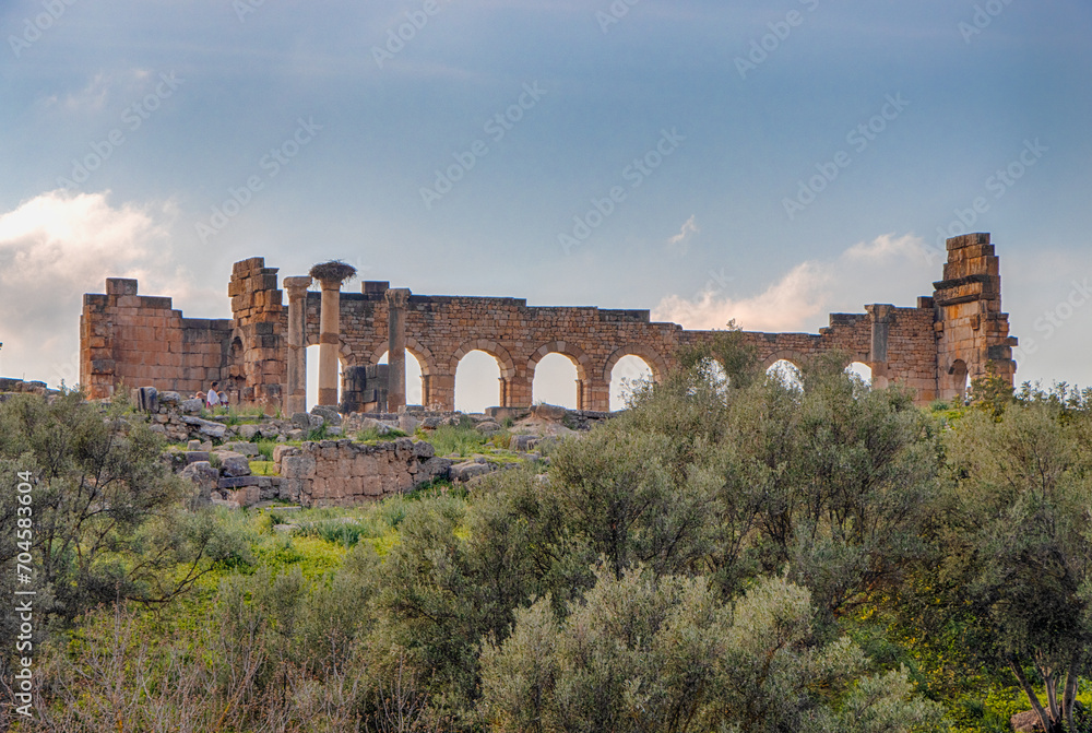 Fototapeta premium Volubilis, Morocco - touristic attraction and a Roman archaeological site situated near Meknes.