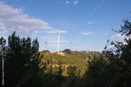 Wind turbines among the trees in the forest area, under a beautiful sky