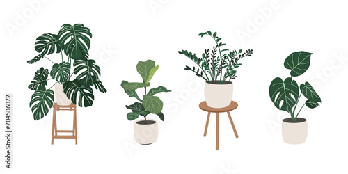 House plants set. Trendy home decor with plants, tropical leaves in stylish planters and pots. Home garden. Scandinavian cozy home decor. Hand drawn vector design