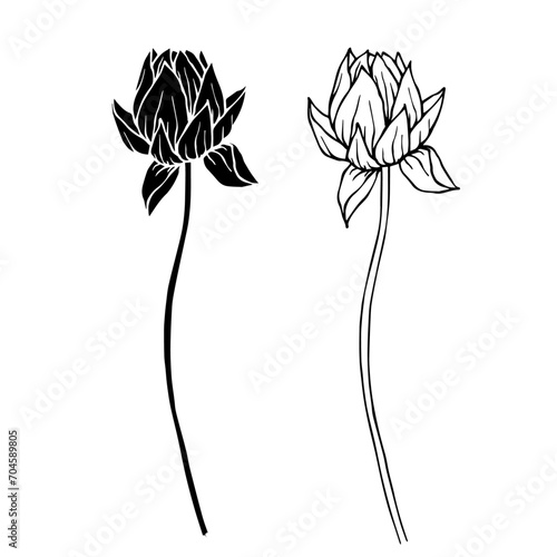 Sketch, silhouette of a lotus flower. Vector graphics.
