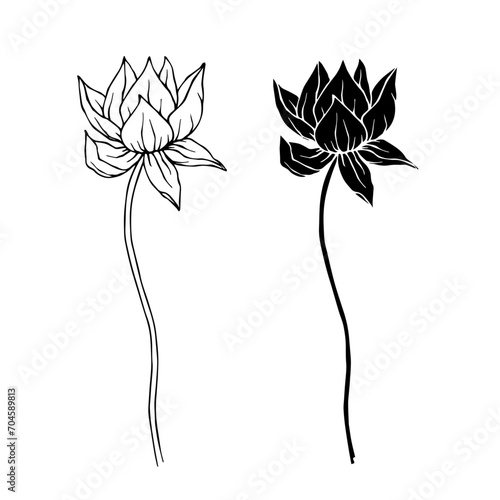 Sketch, silhouette of a lotus flower. Vector graphics.