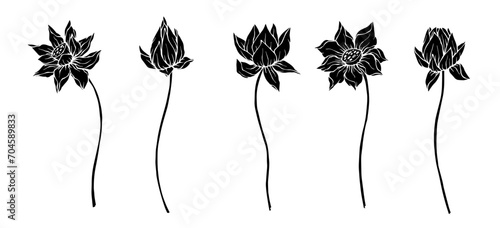 Sketch, silhouette of a lotus flower. Vector graphics.