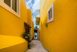 Pathway between two yellow buildings on a tropical island