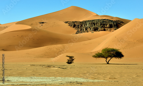 SAHARA DESERT WITH SAND DUNES AND ROCKS AROUND TADRART ROUGE AND DJANET OASIS IN SOUTHERN ALGERIA
