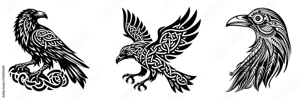 Set of black celtic raven bird in different poses, scandinavian myths, tattoo, vector illustration.