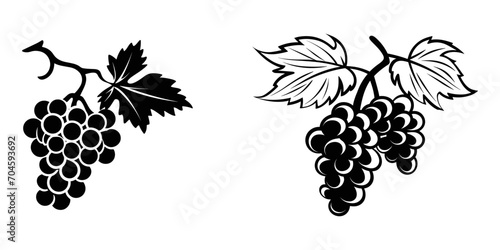Set of grapes with leaves, organic wine, vegetarian vineyard, sweet alcohol fruits, vector illustration.