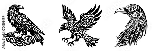 Set of black celtic raven bird in different poses, scandinavian myths, tattoo, vector illustration. photo