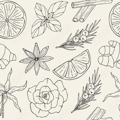 Line art essential oil plants	seamless pattern