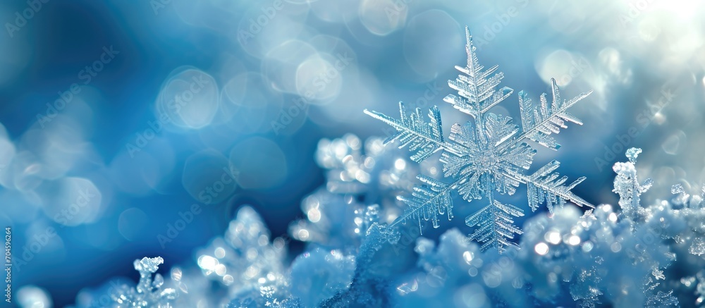 Snowflakes and winter frost combined digitally