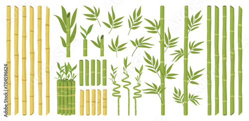 Cartoon bamboo. Asian forest plant with branches and leaves, green bamboo sprouts, Chinese or Japanese flora flat vector illustration set. Bamboo plant collection © GreenSkyStudio