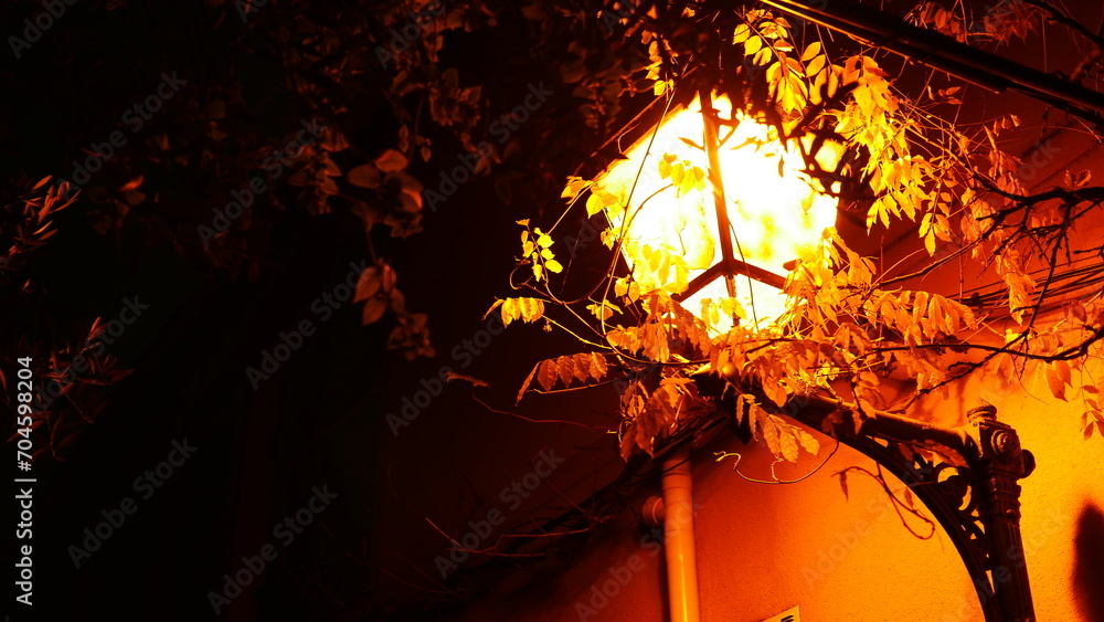 Petite ruelle française dans la nuit, avec lampadaires éclairage jaune allumés, avec un peu de végétation, personne, le soir, promenade nocturne, architecture historique ou gothique. Beauté urbaine, 