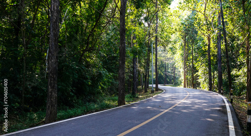 Empty curved concrete roadway winds through a green nature park with trees and plants in the forest, national park view in Kanchanaburi Province,Thailand