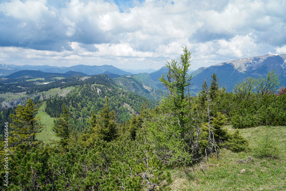 Obraz premium Small green hills and steep snowy mountains in Ötscherland, Lower Austria