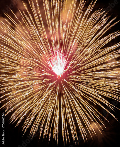 fireworks in the night sky