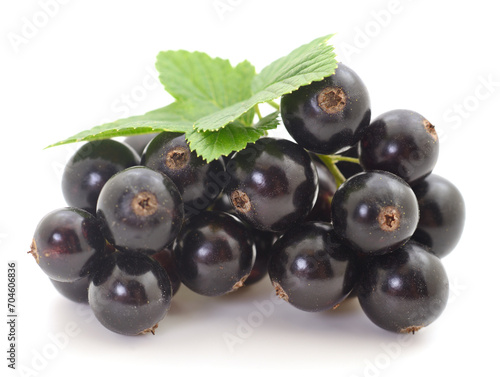 Black currants isolated.