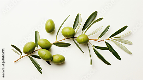  Pickled green olives and olive tree branch