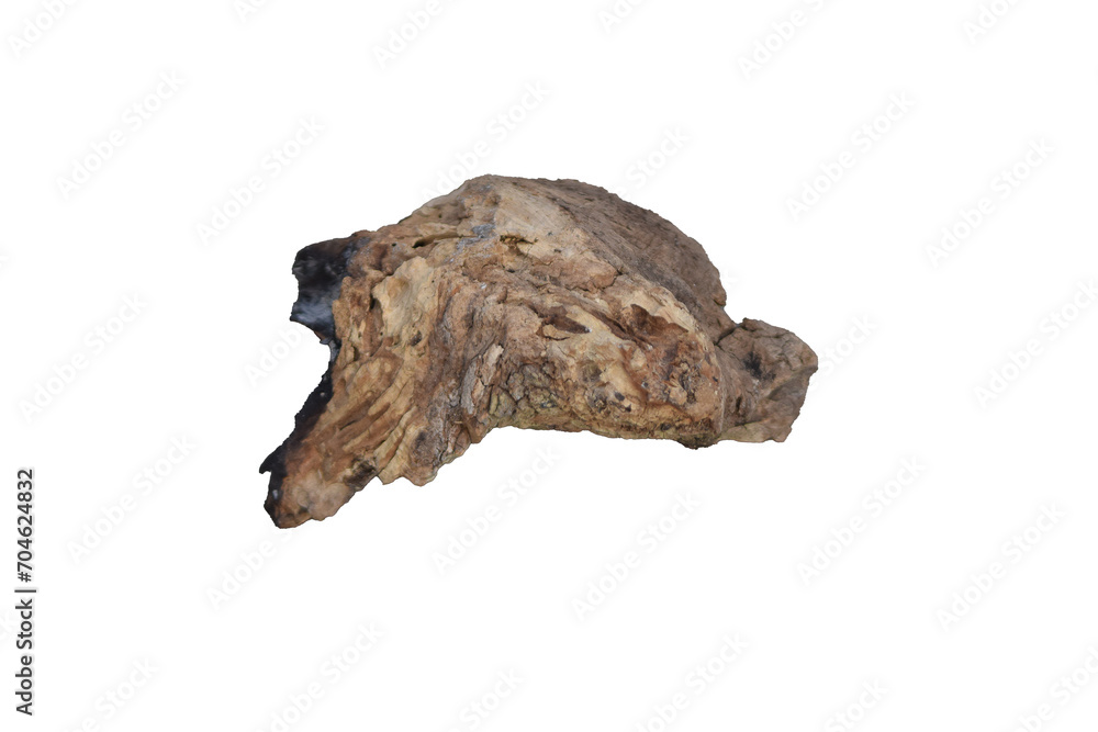 half burned trunk png half burned trunk png