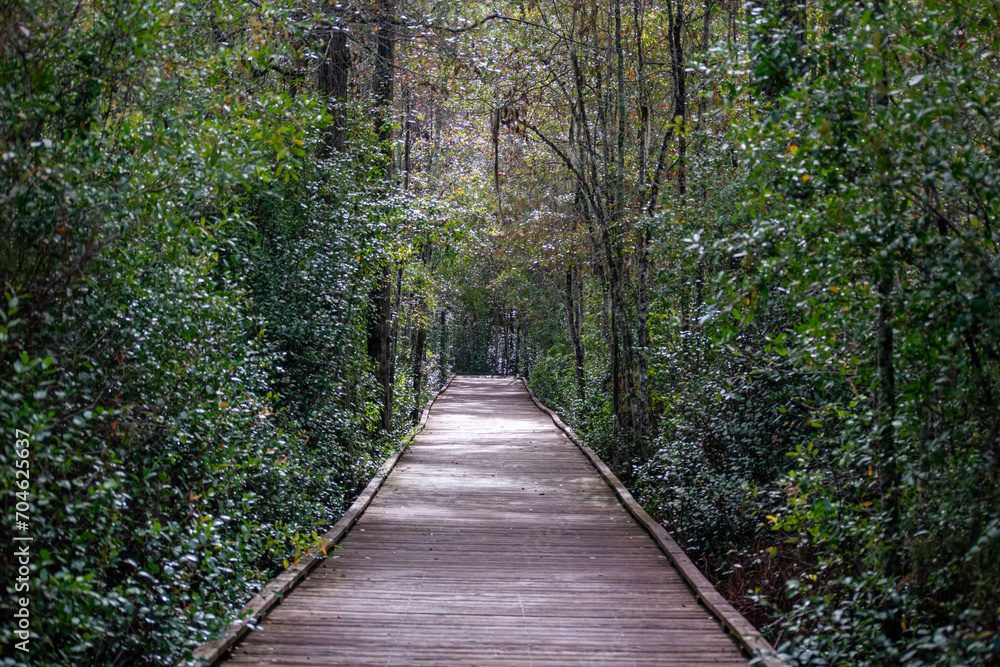 wooden bridge in the park wooden bridge in the park