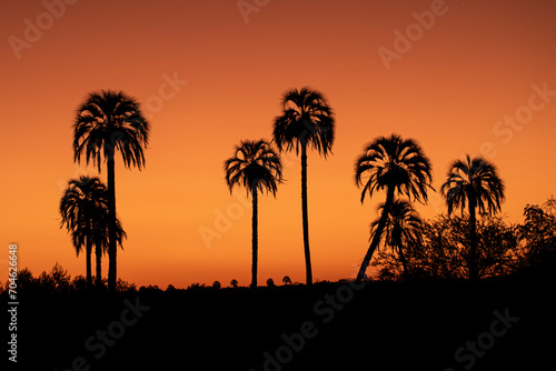 Atardecer en el Palmar