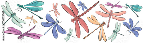 Set of colored dragonflies of different sizes and shapes, drawn with lines and color. For design, decoration, wedding invitations, cards, stickers.