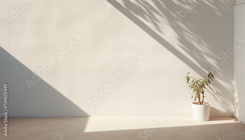 shadow from a window on a white wall with a flower. mockup for product demonstration  presentation design.