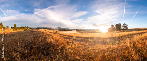 Cattle Ranch Panorama