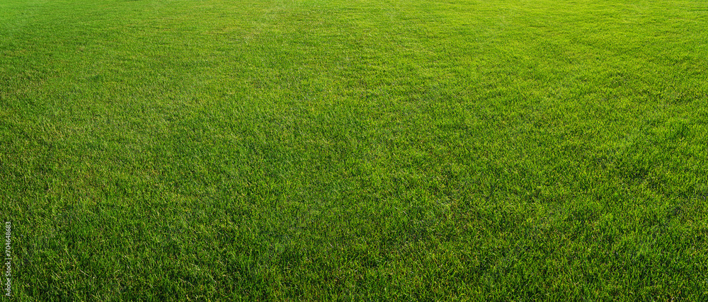 green grass texture - well-groomed turf in the garden or in soccer stadium. green grass texture - well-groomed turf in the garden or in soccer stadium.