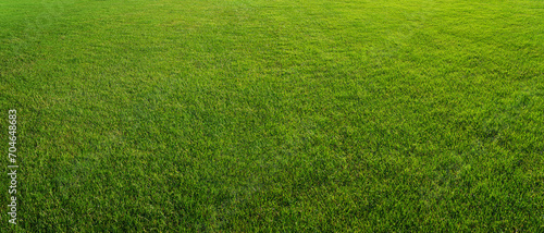green grass texture - well-groomed turf in the garden or in soccer stadium. © Igor Link