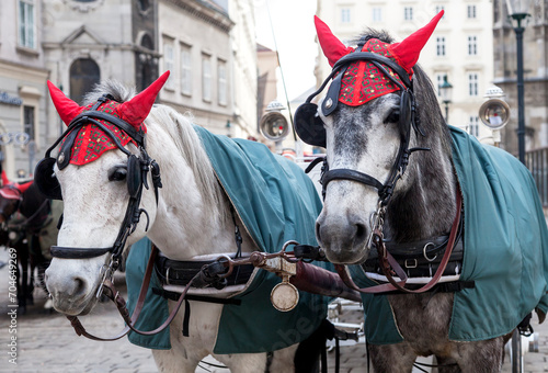 Two horses in traditional Vienna carriage harness photo