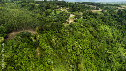 High angle view Aerial photograph of forest